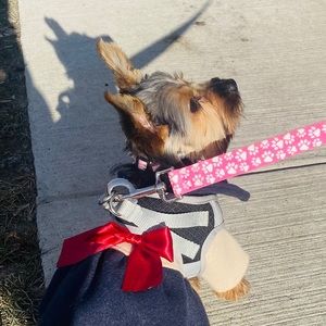 Meet your Posher, Rui